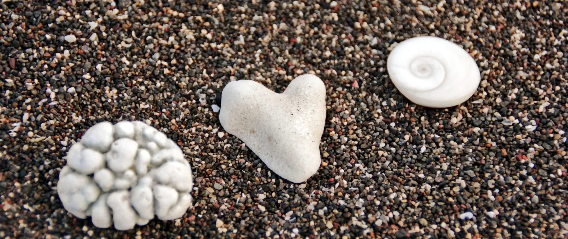 Bridging Strategy and Soul: How to Align Personal Growth with Purpose and Inner Wisdom